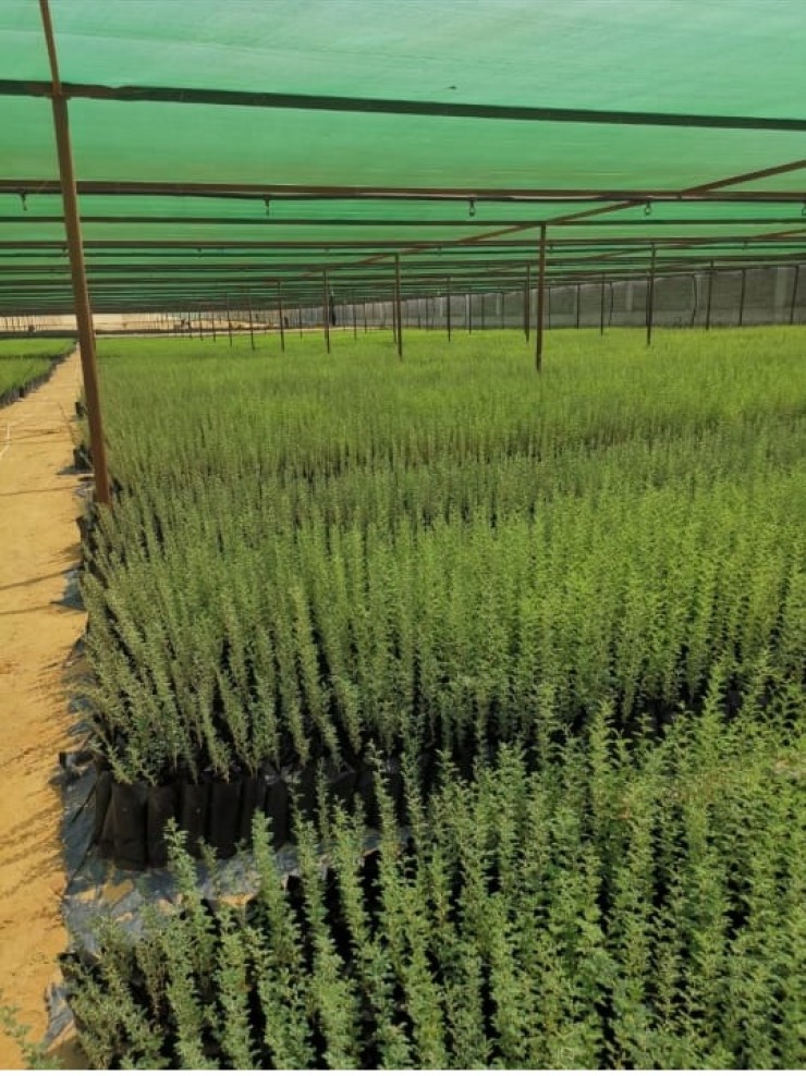 مظلات وسواتر سماء الابداع