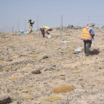 مظلات وسواتر سماء الابداع